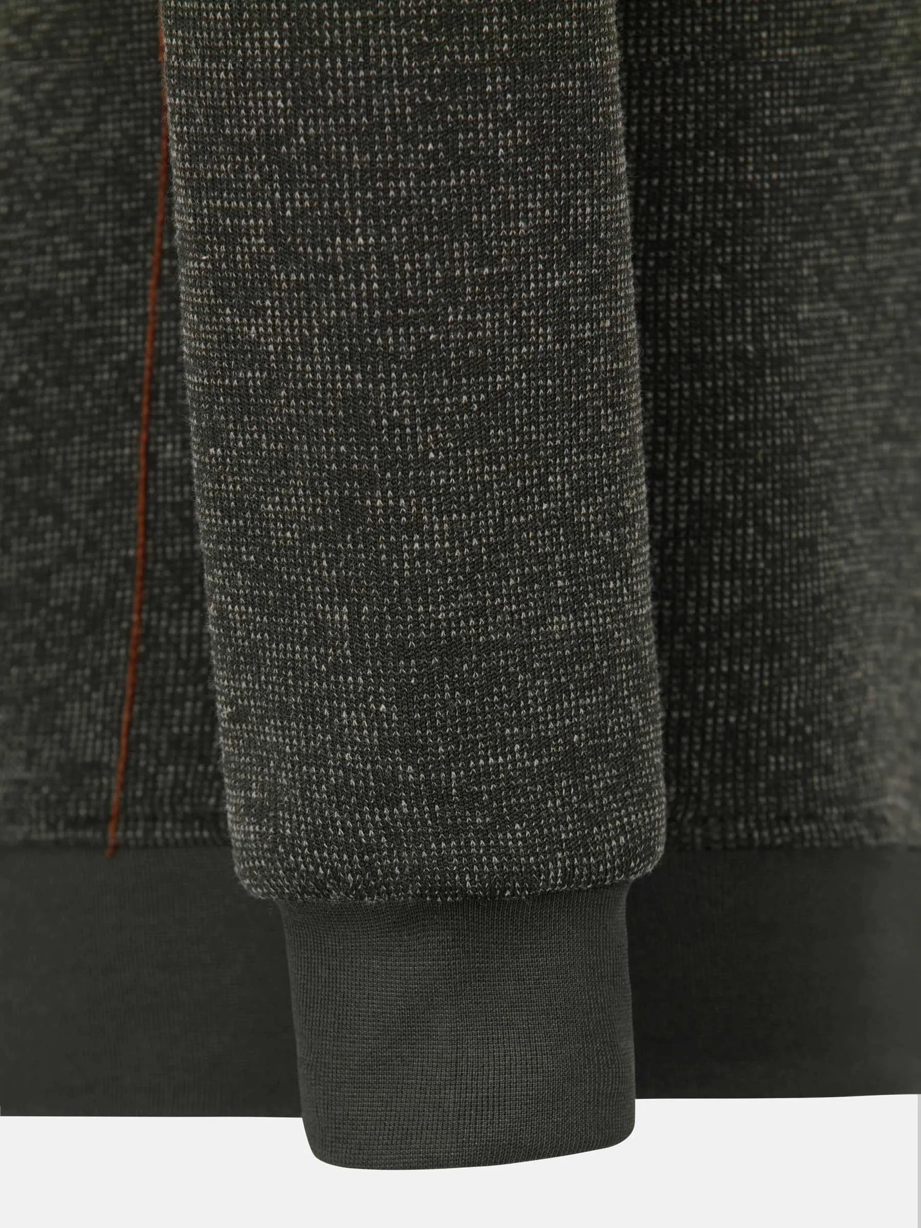 Miniatuur 6